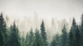 005-shutterstock_2510695537