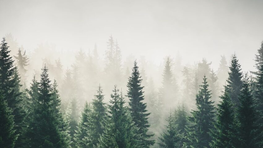 005-shutterstock_2510695537