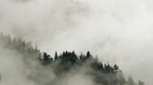 0203-Фотошпалери Ранкова туманність