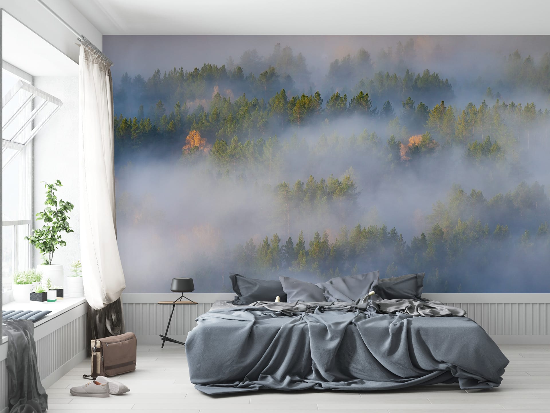 Фотошпалери туман у лісі - Print-walls - фотошпалери на любий смак