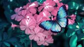 0252-Фотошпалери Блакитний метелик