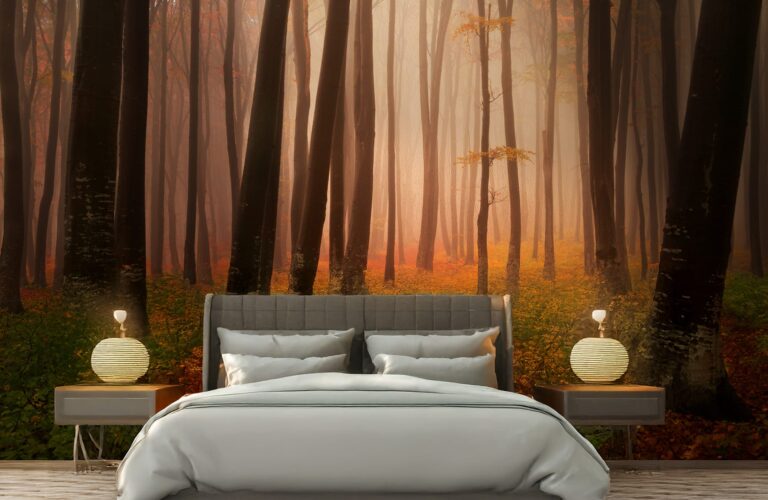 Фотошпалери осінь в лісі