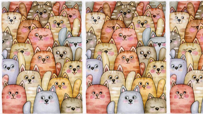 котики