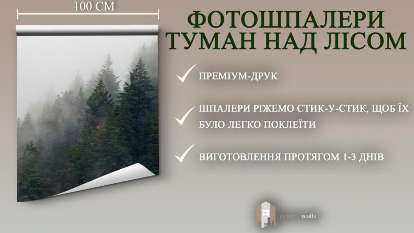 Фотошпалери Туман над лісом (2)